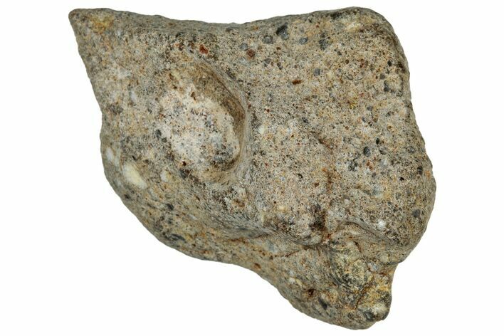 Lunar Meteorite ( g) - NWA #302759